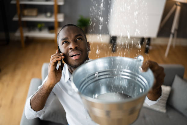 Best Flood damage cleanup  in Desoto, TX