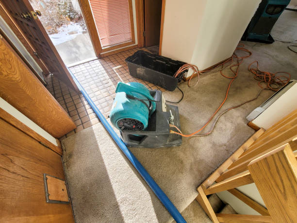 Best Ceiling water damage repair  in Desoto, TX