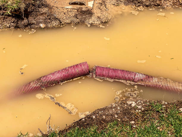 Local water damage restoration in TX